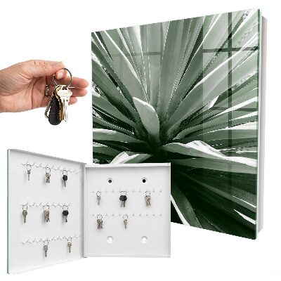 Key cabinet for wall Agave