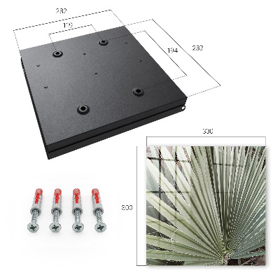 Key cabinet for wall Palm leaf