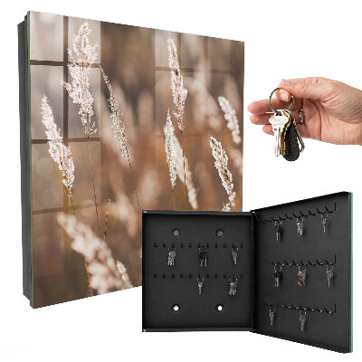 Key box Grasses in the meadow