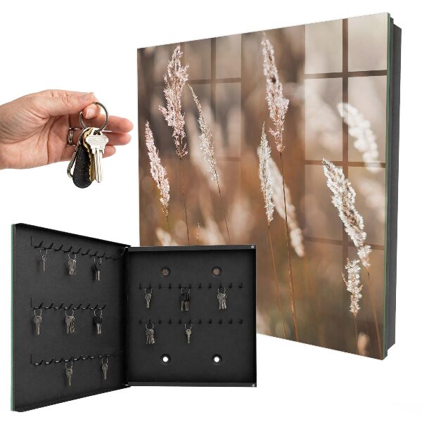 Key box Grasses in the meadow