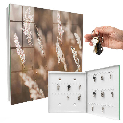 Key box Grasses in the meadow