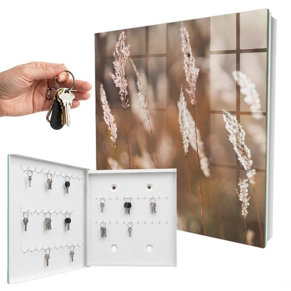 Key box Grasses in the meadow