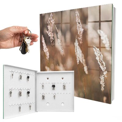 Key box Grasses in the meadow