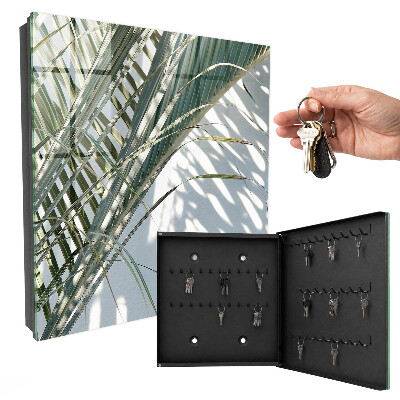Key box Palm trees and shadows