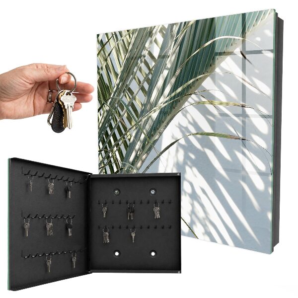 Key box Palm trees and shadows