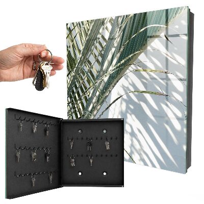 Key box Palm trees and shadows