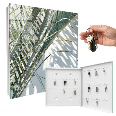 Key box Palm trees and shadows