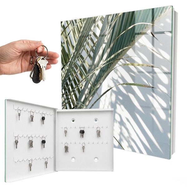 Key box Palm trees and shadows