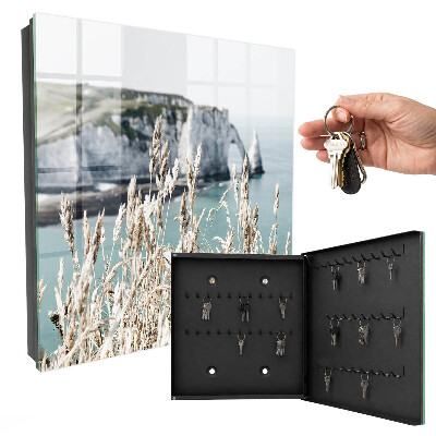 Key storage box Cliffs and grasses