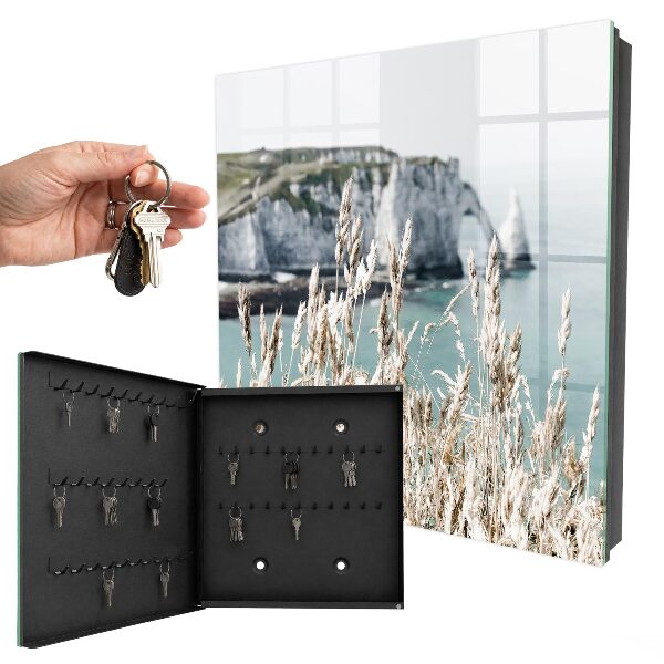 Key storage box Cliffs and grasses
