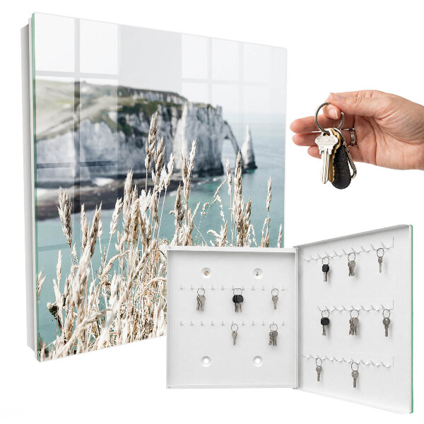 Key storage box Cliffs and grasses