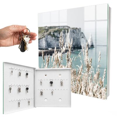 Key storage box Cliffs and grasses