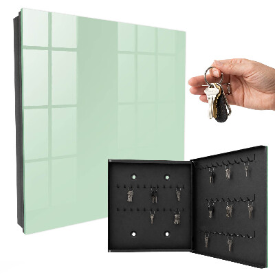 Key cabinet for wall Mint green