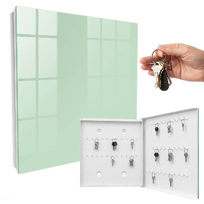 Key cabinet for wall Mint green