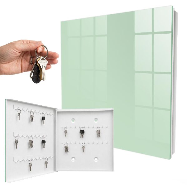 Key cabinet for wall Mint green