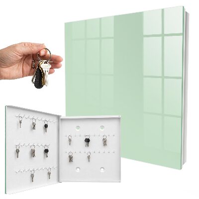 Key cabinet for wall Mint green