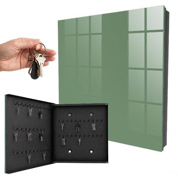 Key storage box Muted green