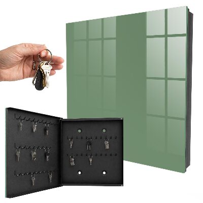 Key storage box Muted green