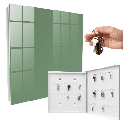 Key storage box Muted green