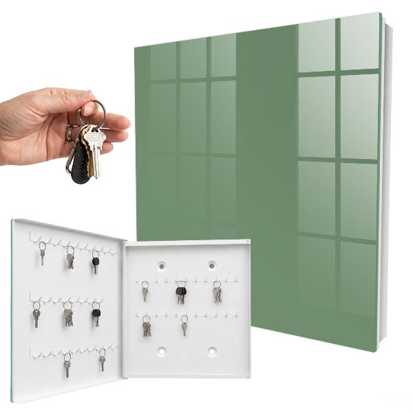 Key storage box Muted green