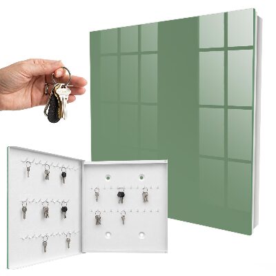 Key storage box Muted green