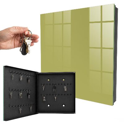 Key storage box Green vintage