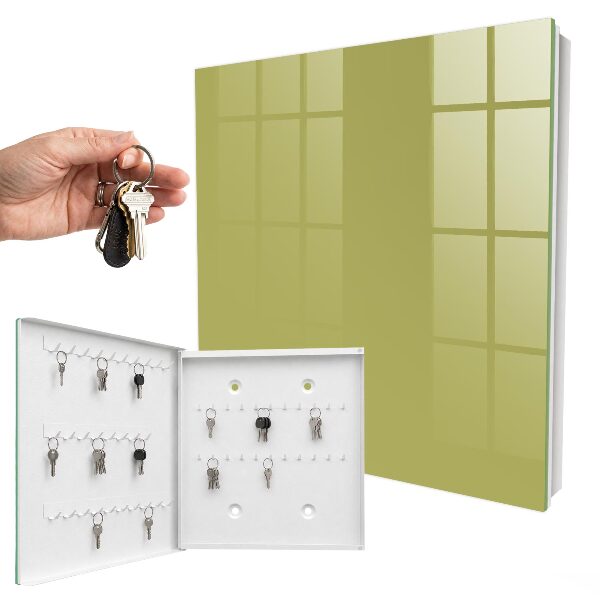 Key storage box Green vintage