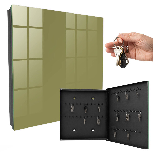 Key storage box Green grass