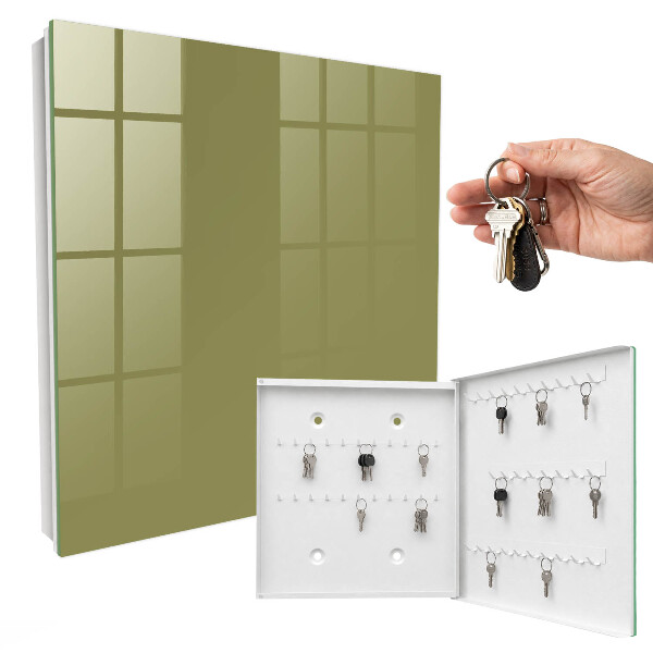 Key storage box Green grass