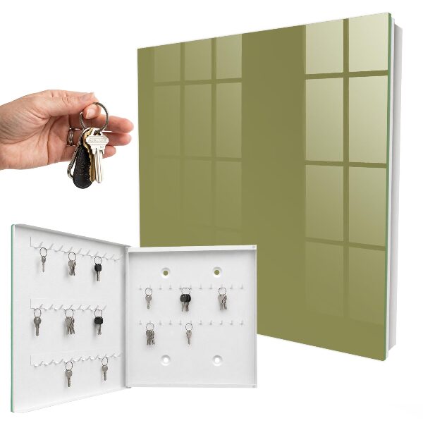 Key storage box Green grass