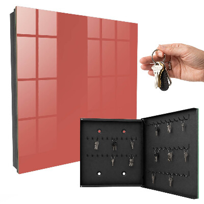Key storage box Dark salmon