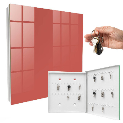 Key storage box Dark salmon