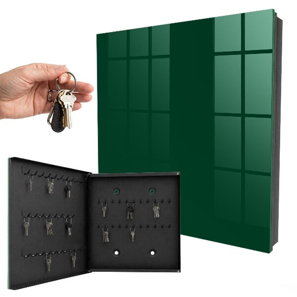 Key cabinet for wall Dark green