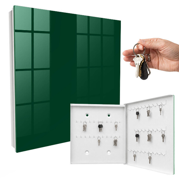Key cabinet for wall Dark green