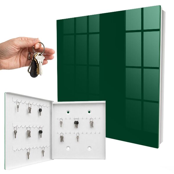 Key cabinet for wall Dark green