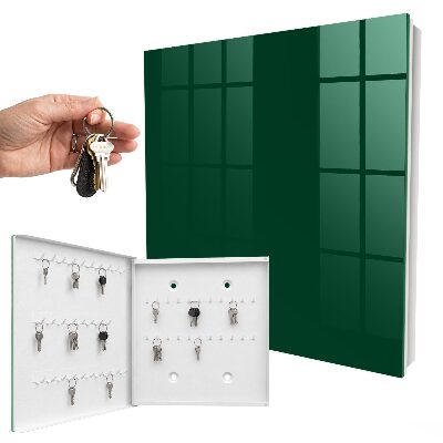 Key cabinet for wall Dark green
