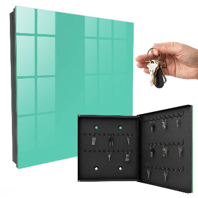Key storage box Strong mint