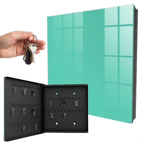 Key storage box Strong mint