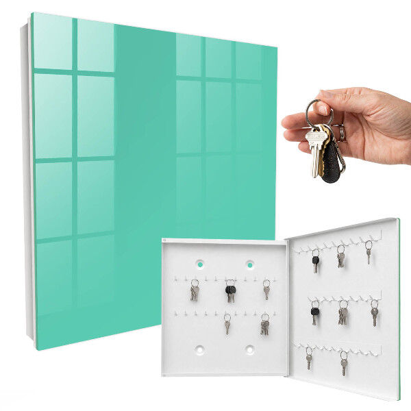 Key storage box Strong mint
