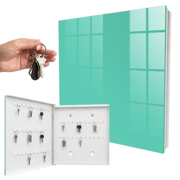 Key storage box Strong mint