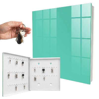 Key storage box Strong mint
