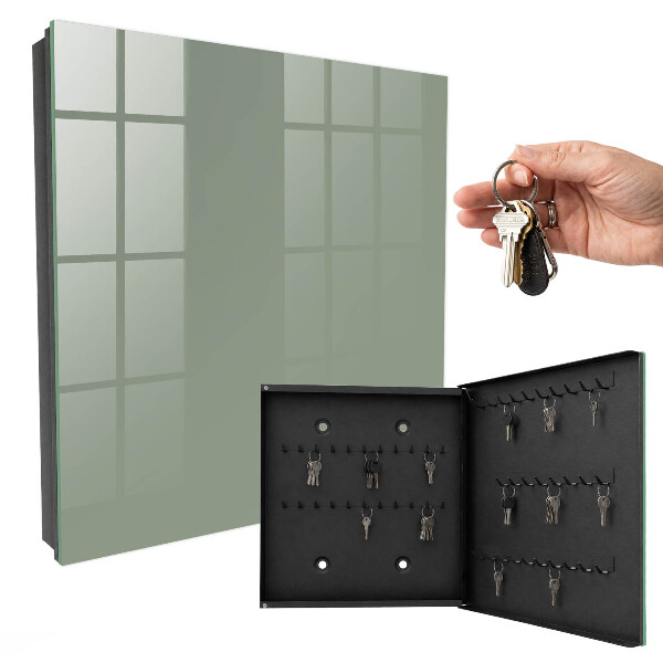 Key cabinet for wall Sage