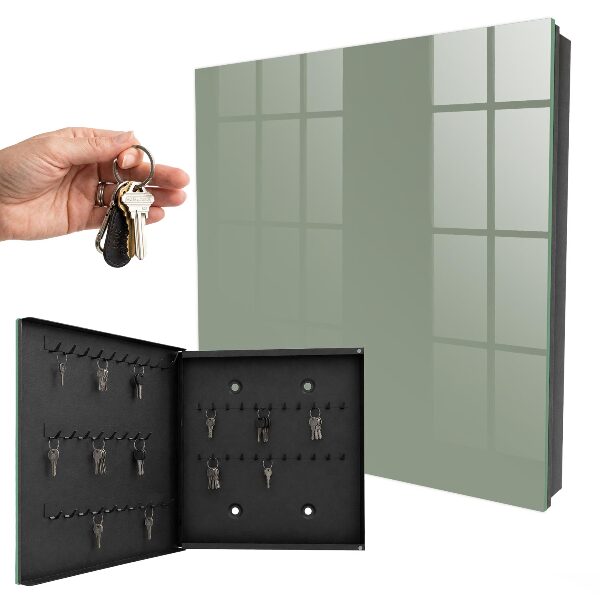 Key cabinet for wall Sage
