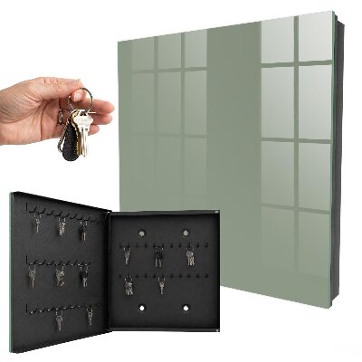 Key cabinet for wall Sage