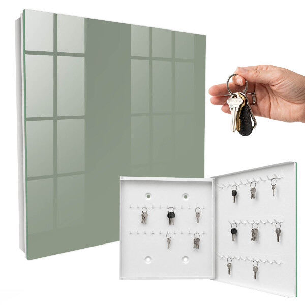 Key cabinet for wall Sage