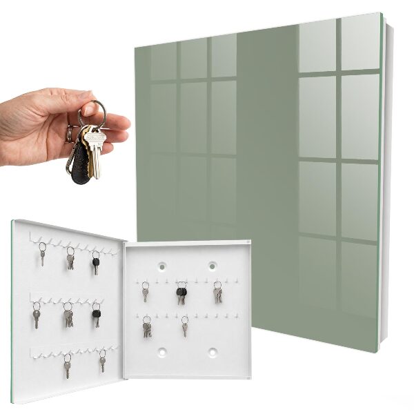Key cabinet for wall Sage