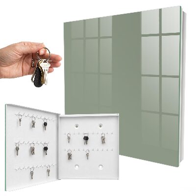 Key cabinet for wall Sage