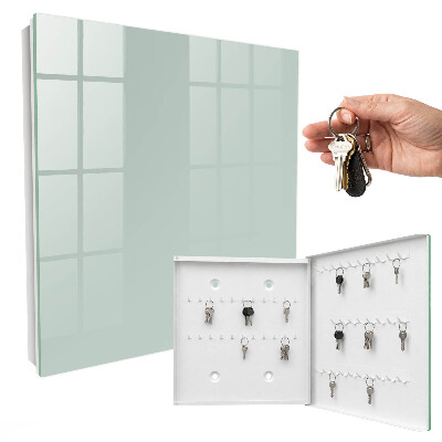 Key box Light mint