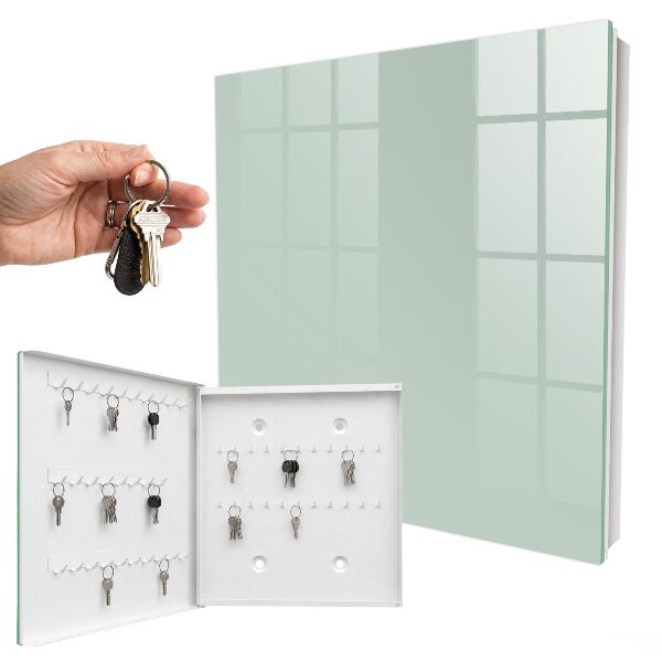 Key box Light mint