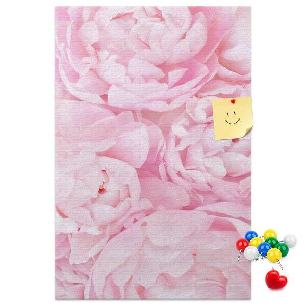 Cork notice board Delicate pink peonies in full bloom